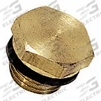 LEGRIS Plug: Hex Drive Cored Plug, 1/2 in, BSPP Threaded, C36000 Brass, Nylon, 290 psi, 15/16 in Lg (MPN 0220 21 00). Key specifications — Brand: LEGRIS; Maximum Operating Pressure: 290 psi.