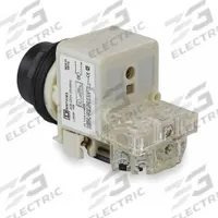 SCHNEIDER ELECTRIC Pilot Light: 30 mm Panel Mounting Size, No Lens Included, Incandescent (MPN 9001SKT38). Key specifications — Lens Color: No Lens Included; Series: 9001SK; Brand: SCHNEIDER; Includes Push-To-Test: Push-To-Test Included.