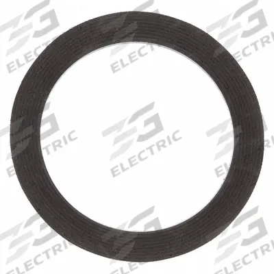 APPROVED VENDOR Rubb Gasket 2 In. Hose Coupling,PK10: GASK-200-10G, Rubber Gasket - Pneumatics