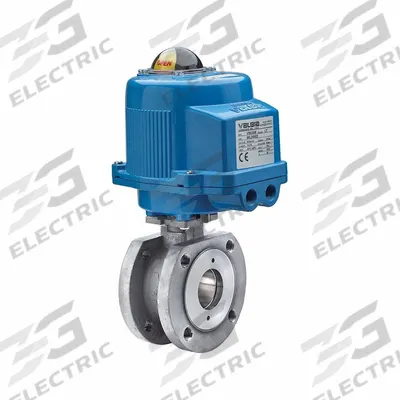 BONOMI Electrically Actuated Two-Way Ball Valve: 2 1/2 in, Stainless Steel, 12V AC/DC - Stainless Steel Electrically-Actuated Ball Valves
