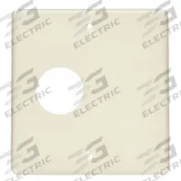 LEGRAND Single Round Opening: 4000, 7/16 in Ht, 7/8 in Raceway Wd, Steel, Ivory (MPN V4047AX). Key specifications — attr1038: LEGRAND; attr1057: Steel; attr1135: Round Opening 2-Gang Box Cover; attr1039: 4000; attr1046: Two-Gang Overlapping Cover Single Round Opening; attr1044: Ivory; attr1136: Device Boxes.