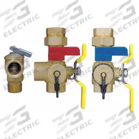 WEBSTONE Tankless Water Heater Service Valve: 1 in, Brass, 150 psi Max. Op Pressure, FIP x FIP, Tee (MPN 44444WPR). Key specifications — Brand: WEBSTONE; Handle Material: Steel; Includes: Pressure Relief Valves.