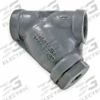 MUELLER STEAM SPECIALTY Y Strainer: 2 in, NPT, Perforated, 0.062 in Screen Size, Stainless Steel (MPN 2 581 SS screwed end). Key specifications — Brand: MUELLER STEAM SPECIALTY; Manufacturer Part Number: 2 581 SS screwed end; Screen Material: 304 Stainless Steel.