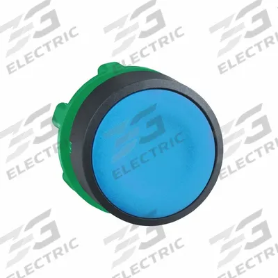 SCHNEIDER Flush Push Button: Blue, 22 mm Mounting Size, Non-Metallic - Flush-Mount & Recessed Push-Button Operators