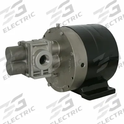 PULSAFEEDER Rotary Gear Pump Head: Magnetic Drive, 316 Stainless Steel, 1" Flange, 316 SS - Mag-Drive Gear Pump Heads
