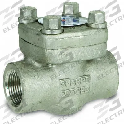 SHARPE Check Valve: Swing, 2-Way, Inline Valve Body, 3/4 in Pipe Size, FNPSM x FNPSM - Stainless Steel Inline Swing Check Valves
