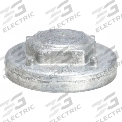 SANITAIRE Cap and Bearing Assembly: Electrolux, For Upright Vacuum Vacuum Type - Vacuum Replacement Parts & Accessories