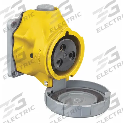 HUBBELL Pin and Sleeve Receptacle: Yellow, 125V AC, Single Phase, 30 A, 2 Pole - Watertight Receptacles