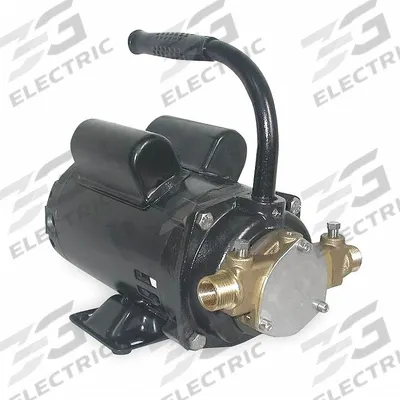 Dayton Utility Pump: 115/230V AC, 76 ft Max head, 1/2 in FNPT / 3/4 in MGHT, Buna-N - Electric Flexible Impeller Utility Pumps