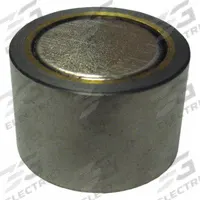 STORCH PRODUCTS Rare Earth Magnet: Neodymium, 3/4 in Outside Dia, 10-32" Tap Size, 0.5 in Thick, 35 (MPN 1295-T-08R). Key specifications — Max Pull Force: 22 lbf; Tap Size: 10-32".