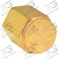 PARKER Cap: Cored Cap, Bright C36000 Brass, 1/4 in, NPT Threaded, 4,300 psi, 29/32 in Lg (MPN 4 CP-B). Key specifications — Maximum Operating Pressure: 4,300 psi.