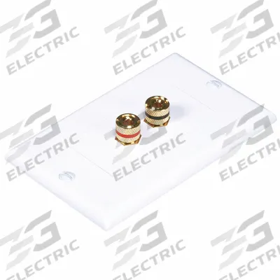 MONOPRICE Audio/Video Wall Plate: 1 Gang, 2 Port, With RCA - Audio-Video Jacks with Frames