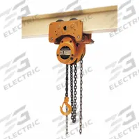 HARRINGTON Manual Chain Hoist: Push Trolley, 10,000 lb Lifting Capacity, 10 ft Lift Lg (MPN NTH050-10). Key specifications — Brand: HARRINGTON; Lifting Hook Type: Hook with Safety Latch.