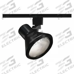 Track Lighting Head: Incandescent, Flared Shape, 120 W, 6 in Dia, 5 7/8 in Lg, Black (MPN R550 BL). Key specifications — Brand: JUNO LIGHTING; Lighting Technology: Incandescent; Housing Color: Black.