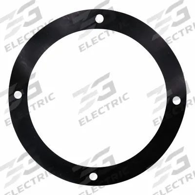 BOLTING Gasket: Gasket - Replacement Parts for Hydraulic Pumps