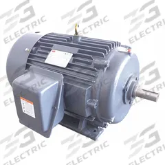 DAYTON General Purpose Motor: Rigid Base Mount, Totally Enclosed Fan Cooled, 25 hp, 230/460V AC (MPN 194161.00). Key specifications — Brand: DAYTON; Nameplate Voltage @ 60 Hz: 230/460V AC; Full Load Current @ 60 Hz: 58.0/29.0 A; Nameplate RPM @ 60 Hz: 3,550 RPM; Motor Enclosure: TEFC.
