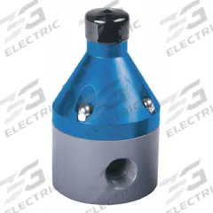 HAYWARD Pressure Reducing Control Valve: PTFE, 1/4 in x 1/4 in, NPT x NPT, 34°F to 250 psi, 34°F (MPN RPV5025TPE1). Key specifications — Brand: HAYWARD.