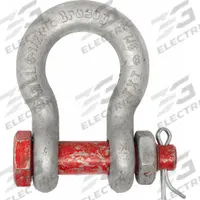 CROSBY Anchor Shackle: Anchor Shackle, 19,000 lb Working Load Limit, 1 13/16 in Wd Between Eyes, Red (MPN 1019579). Key specifications — Body Color: Silver; Brand: CROSBY.