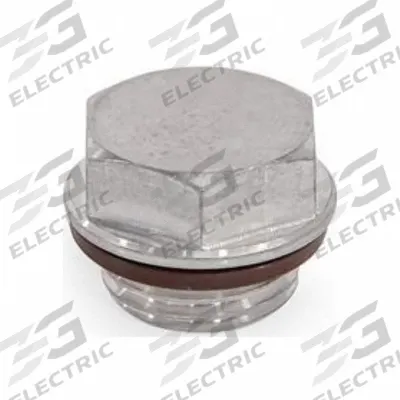 JW WINCO Threaded Plug: Stainless Steel, Fluoro-Elastomer Seal, Type G, 3/4 in Thd - Stainless Steel Threaded Plugs