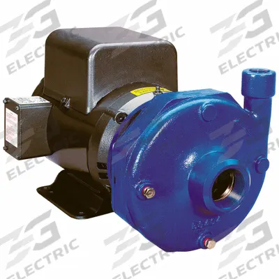 GOULDS WATER TECHNOLOGY Centrifugal Pump: 15 hp, 208-230/460V AC, 190 ft Max Head, 3 in - Above 10 HP Straight Centrifugal Pumps