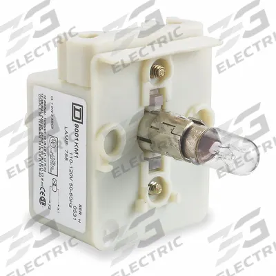 SCHNEIDER Lamp Module: 30 mm Size, Clear, Incandescent, 14 V AC/DC Rating - Lamp Modules