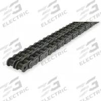DAYTON Roller Chain: Double Strand, 80, 1 in Pitch, Steel, 10 ft Overall Lg, Riveted Pin, Steel (MPN 2YDY9)
