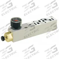 PARKER Manifold Air Regulator: 0.55 cfm Max Flow Rate, 5 psi to 125 psi, 120°F Max Op Temp, 15407-2 (MPN PS5638166P)