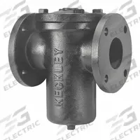 KECKLEY Basket Strainer: Cast Iron, 0.125 in Screen Size, Single, Flanged, 1 in, 26 3/4 in Ht (MPN 61FFS-CI125P34-FBI-GFV). Key specifications — Brand: KECKLEY; Compatible Product Type: Gas; Gasket Material: 304 Stainless Steel; Screen Material: 304 Stainless Steel.