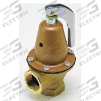 WATTS Pressure Relief Valve: FNPTF x FNPTF, 1 1/4 in x 1 1/4 in, Copper Silicon Alloy (MPN 0121517). Key specifications — Brand: WATTS.