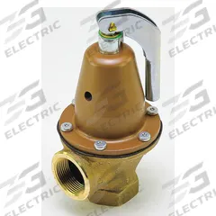 WATTS Pressure Relief Valve: FNPTF x FNPTF, 1 1/4 in x 1 1/4 in, Copper Silicon Alloy (MPN 0121517). Key specifications — Brand: WATTS.