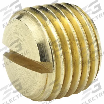 PARKER Plug: Plug, 3/8 in, NPT Threaded, 1,000 psi, 7/16 in Lg - Threaded High-Pressure Pipe Fittings