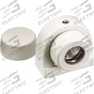 NTN Pillow Block Bearing: 3/4 in Bore Dia, Polymer - Food-Grade Tapped-Base Pillow Block Ball Bearings