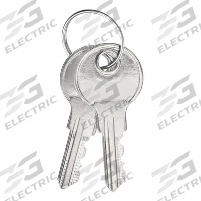 SAFETY TECHNOLOGY INTERNATIONAL Key: Nickel, 1 3/4 in Overall Lg, KIT-H18053 - Keys for Alarm & Wall Fixture Covers