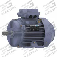 MARATHON MOTORS Metric Motor: 7 1/2 hp, Rigid Base Mount, 132S Frame Size, 230/460V AC, 1775 RPM (MPN TCA5P52AE211GAA009). Key specifications — Brand: MARATHON MOTORS; Nameplate Voltage @ 60 Hz: 230/460V AC; Full Load Amps @ 60 Hz: 19.6/9.8 A; Nameplate RPM @ 60 Hz: 1775 RPM; Motor Enclosure: TEFC.