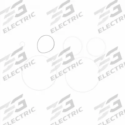 FILL-RITE Teflon Seal Kit: Teflon Seal Kit, Fill-Rite, (6) O-Rings (MPN SK30PTF) - Pumps
