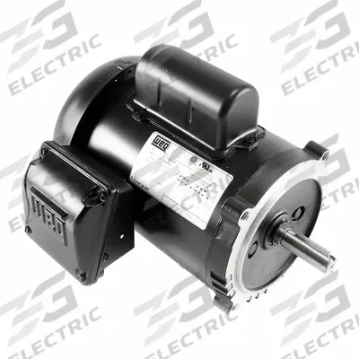 Grundfos Pump Motor: Mfr Part # 99883316, Single Phase, 115/208-230V AC, 1/2 hp - OEM Motors for Circulator Pumps
