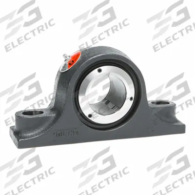 MOLINE BEARING Pillow Block Bearing: 1 11/16 in Bore, Spherical E Roller Bearing, Cast Iron - Expansion Pillow Block Spherical Roller Bearings