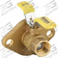 WEBSTONE Manual Two-Way Ball Valve: 1 in, Brass, Straight, FIP x Flange, 600 psi Max. Pressure (CWP) (MPN 40404HV). Key specifications — Brand: WEBSTONE; Handle: Lever.