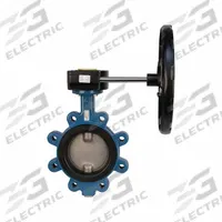 GHIBSON Butterfly Valve: 14 in Pipe Size, Concentric, 250 psi Max. Pressure (CWP), Lug, Ductile Iron (MPN G541S-14). Key specifications — Brand: GHIBSON; Handle Type: Gear Operated Handwheel; Disc Material: Stainless Steel.