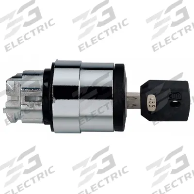 SCHNEIDER Keyed Selector Switch: 2 Position, 22 mm Panel Mounting Size - Panel-Mounted Key Switches without Contacts