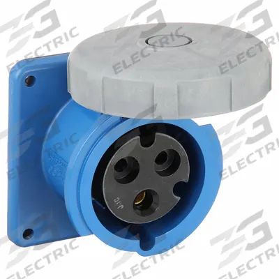 HUBBELL Pin and Sleeve Receptacle: Orange, 250V AC, Single Phase, 30 A, 2 Pole - Watertight Receptacles