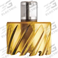 SLUGGER BY FEIN Annular Cutter: 2 3/16 in Cutter Dia, 1 in Max Cutting Dp, TiN, High Speed Steel (MPN 63134555102). Key specifications — attr253884: No; attr253885: TiN; attr253886: High Speed Steel; attr253887: Weldon Flat; attr253888: Fractional Inch; attr277149: SLUGGER BY FEIN.