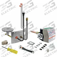 RHEEM Thermostat/Burner Assembly Retrofit Kit: Natural Gas, SP20170A