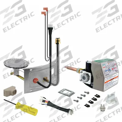 RHEEM Thermostat/Burner Assembly Retrofit Kit: Natural Gas, SP20170A - Plumbing