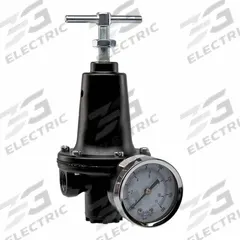 PARKER Regulator: Zinc, 3/8 in NPT, 110 scfm, 2 psig to 125 psig, 300 psig Max Op Pressure, T-Handle (MPN R119-03CG). Key specifications — attr111664: Yes; attr111400: R119; attr111627: PARKER.