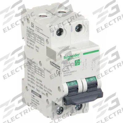 SCHNEIDER Supplementary Protector: 1 A Amps, 500V DC, 5kA at 250V DC, Screw Clamp - DC-Only Rated, 2-Pole UL1077 DIN Rail-Mount Supplementary Protectors