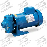 Centrifugal Pump: 2 hp, 115/230V AC, 118 ft Max Head, 1 1/4 in , 1 in Intake and Disch (MPN 1BF22012). Key specifications — Brand: GOULDS WATER TECHNOLOGY; Motor Enclosure Type: TEFC.