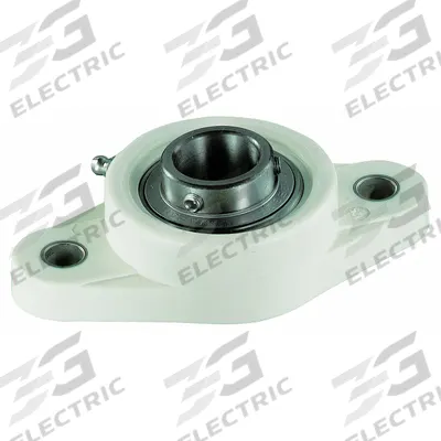 NTN 2 Bolt Flange Bearing: Radial Ball, 25 mm Bore, Polymer, Set Screws - Food-Grade Flange-Mount Ball Bearings