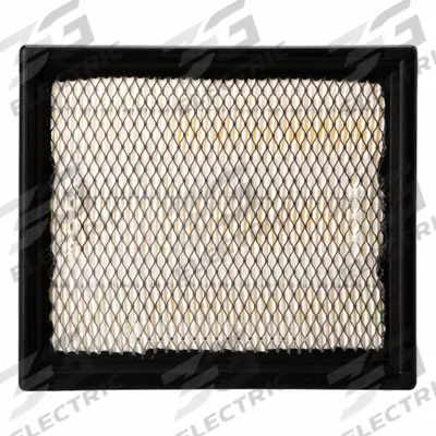 FLEETGUARD Air Filter: Panel, Cabin Air Filter, Rectangular, 8 31/32 in Overall Lg - Panel Cabin Air Filters