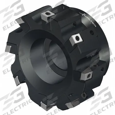 WALTER Indexable Face Mill: F2010.B.125.Z08.12.R752M (MPN 6583212) - Indexable Face Mills